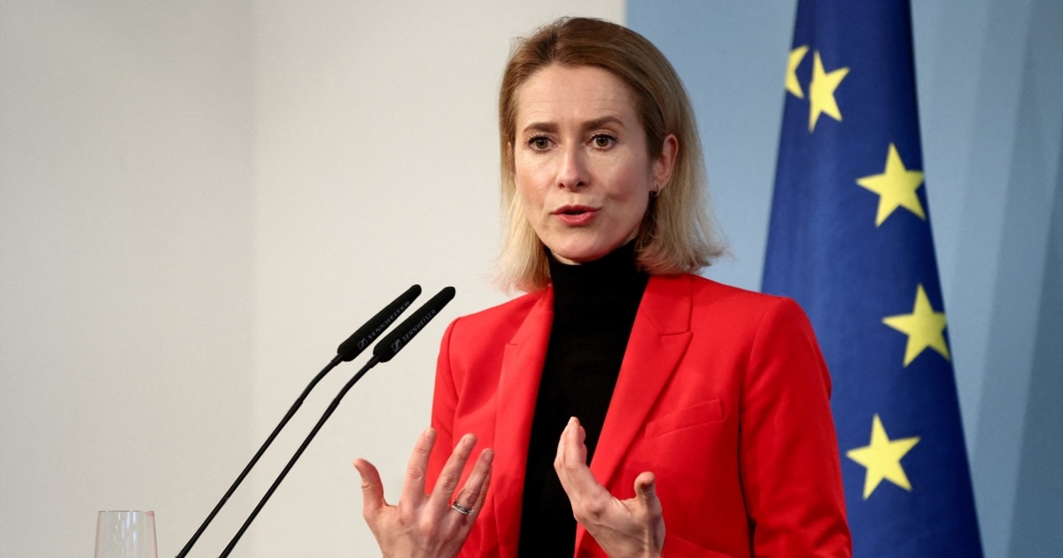 ЄС пропонує посередництво між Україною й Близьким Сходом, де потрібні перехоплювачі дронів