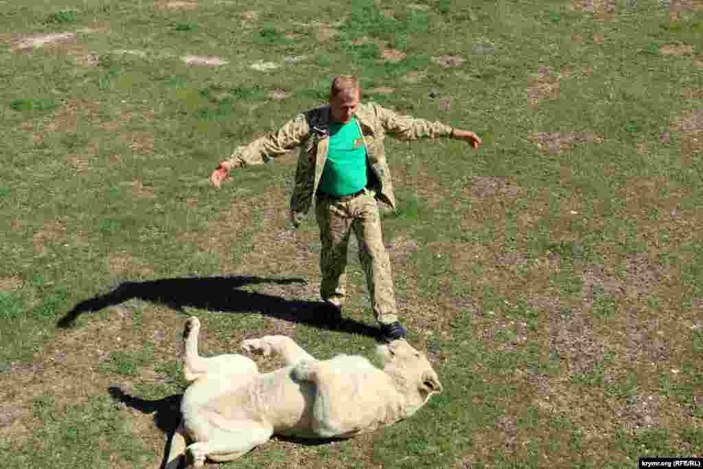 Молода левиця рада зустрічі з власником «Сафарі-парку» Олегом Зубковим