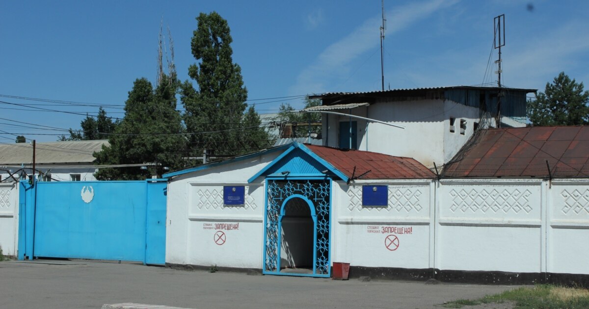 Порно галерея мұғалімі