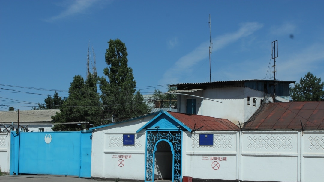 Трусики астынан түкті киска