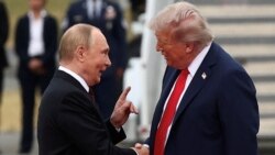  29 апрел куни Путин ва Трамп телефон орқали бир ярим соат суҳбатлашган.