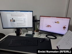 "Окуу китеби" басма үйүндөгү кызматкерлердин иш компьютери.