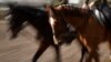 The findings could challenge theories that the Botai people of modern-day Kazakhstan were the first to domesticate and ride horses. (illustrative photo)