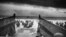 France -- A LCVP from the U.S. Coast Guard-manned USS Samuel Chase disembarks troops of Company E, 16th Infantry, 1st Infantry Division wading onto the Fox Green section of Omaha Beach (Calvados, Basse-Normandie, France) on the morning of June 6, 1944.