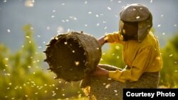 „Honeyland”, filmul de deschidere al festivalului Moldox de la Cahul