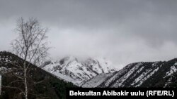 Иллюстрациялык сүрөт.