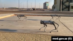 Dördayaqlı robotlar