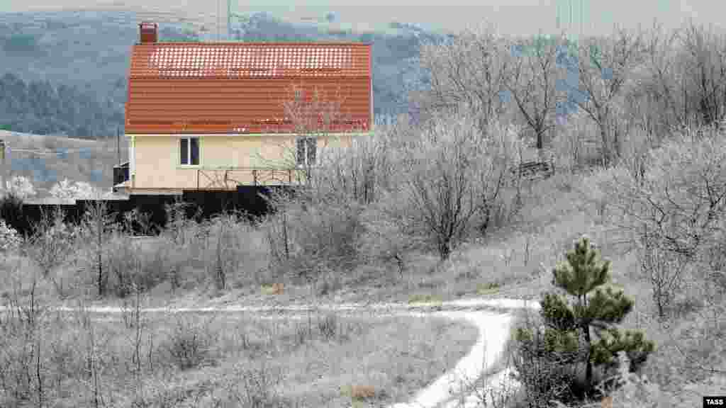 За заснеженными деревьями прячется дом в селе Клиновка
