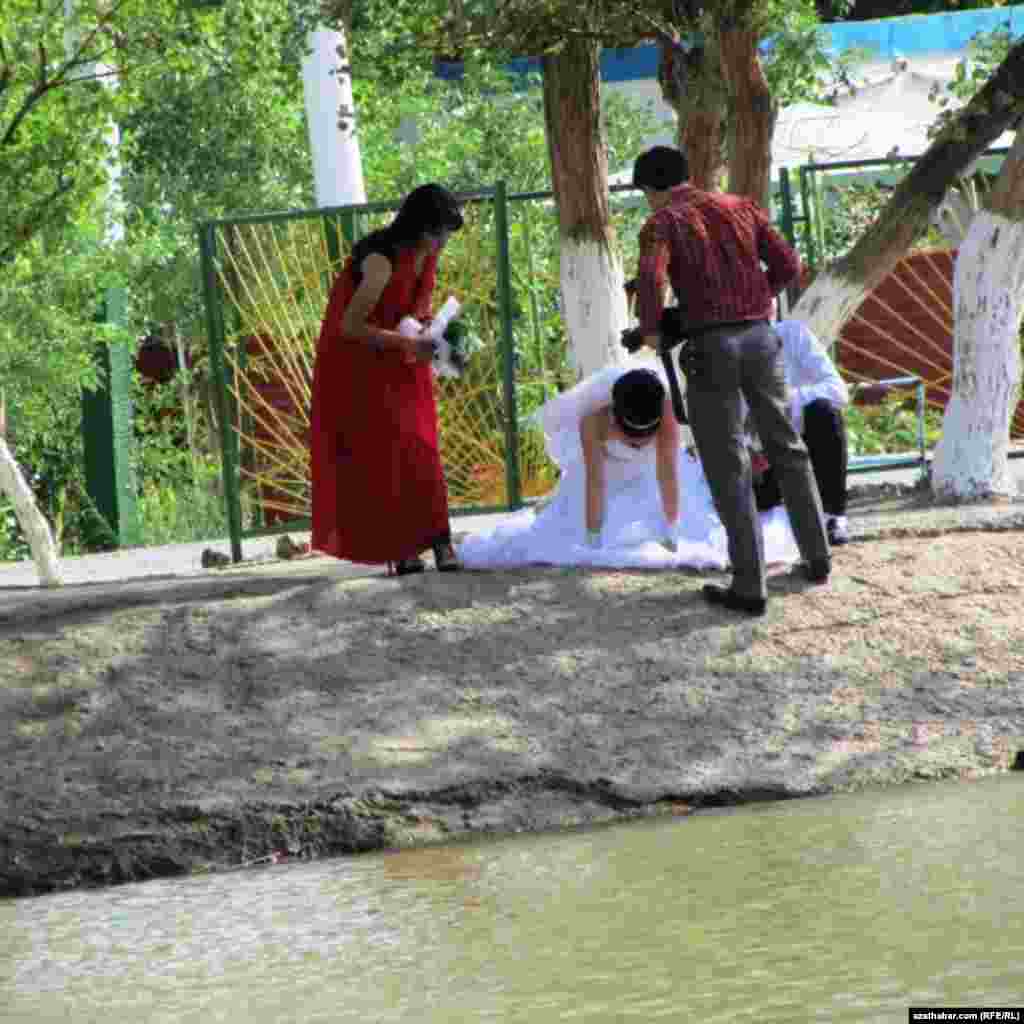 Ýaş çatynjalar surata düşmek üçin taýýarlanýarlar