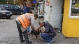 UKRAINE -- Life in front-line Pokrovsk, September 2024