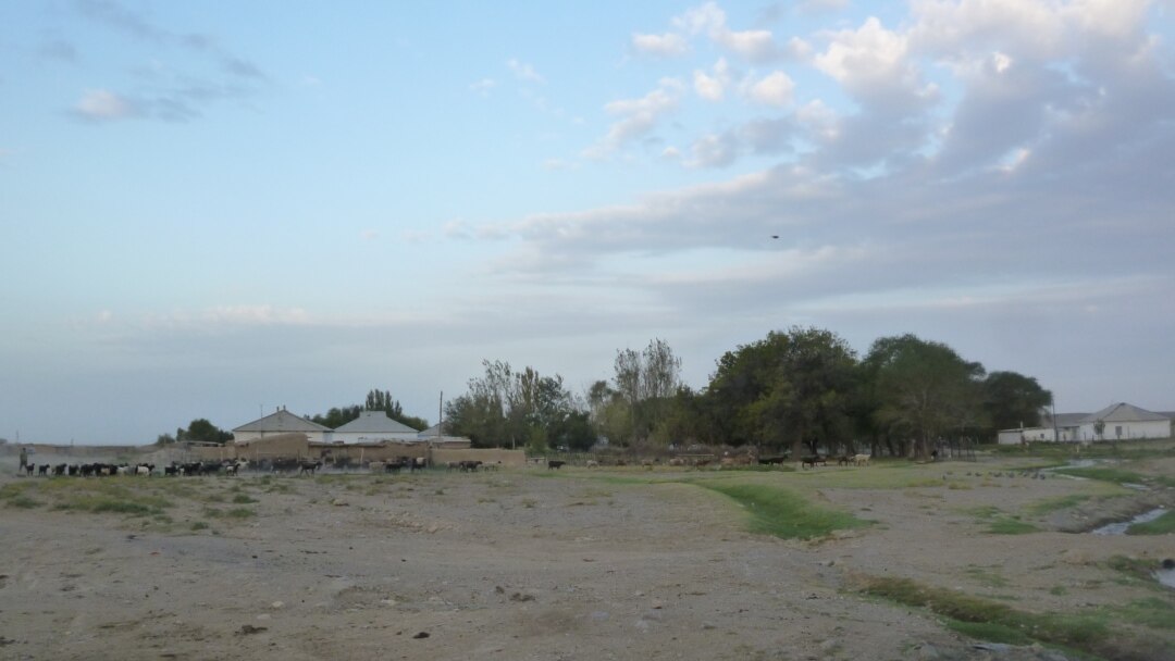 Топтық порно спермы ауызға