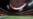 Futbol boýunça dünýä çempionatynyň geçiriljek stadionlarynyň biri. Atlanta, ABŞ.