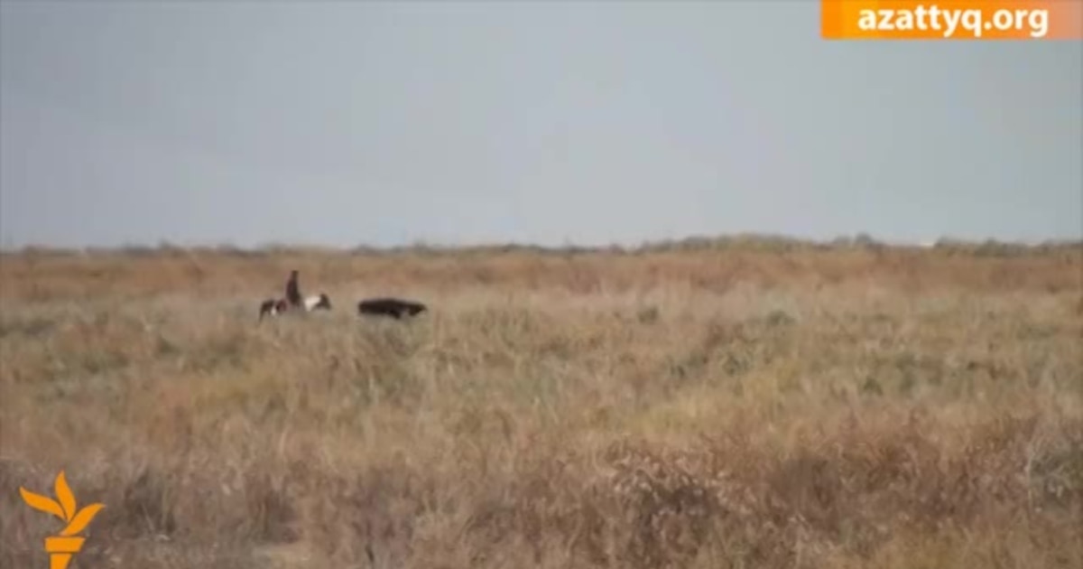 Жеке қыздардың жеке суреттері