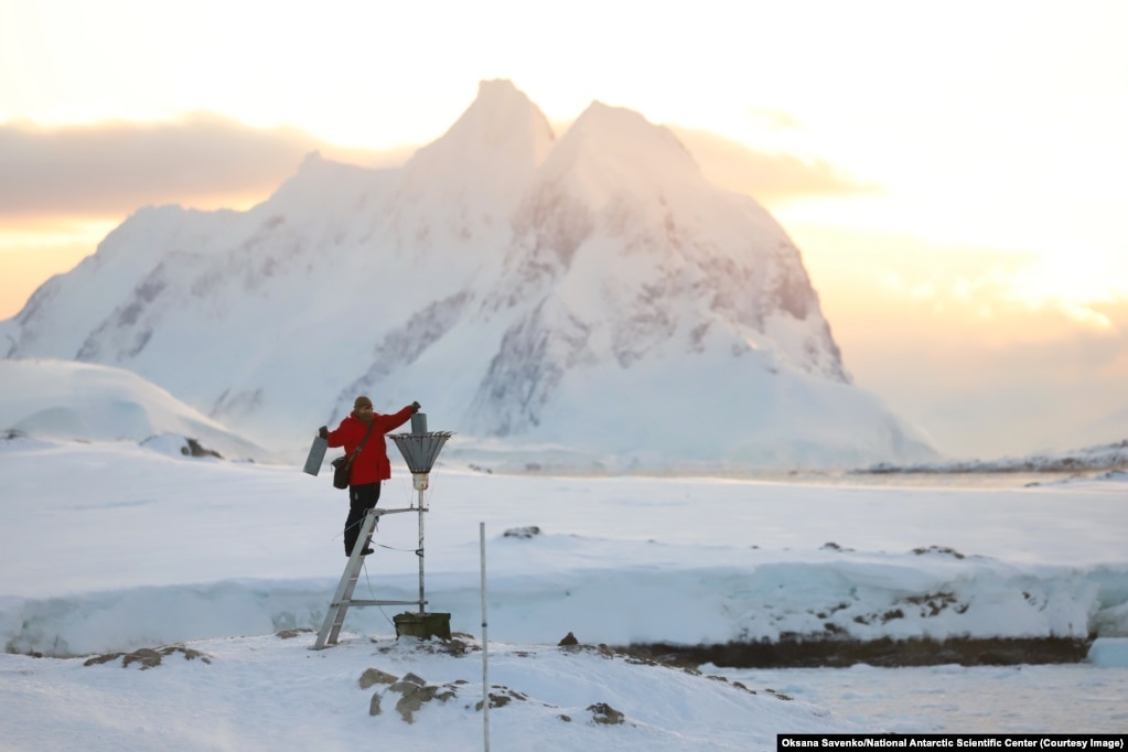Një meteorolog ukrainas duke kontrolluar një matës bore në bazën Vernadsky.