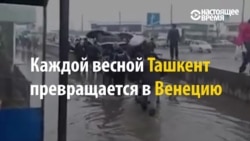 Весна в Ташкенте: город снова поплыл (видео)