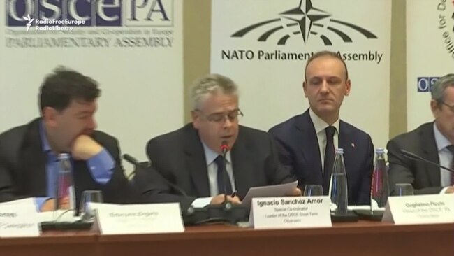 OSCE Calls Georgia Elections 'Strongly Competitive' And 'Positive'