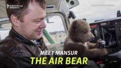 Saving Mansur The Air Bear