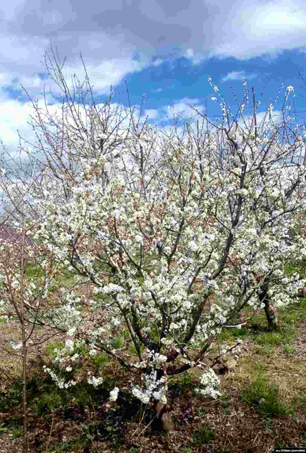 آذربایجان