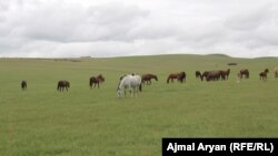 آرشیف