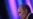 WikiLeaks Links Russian Government, Organized Crime