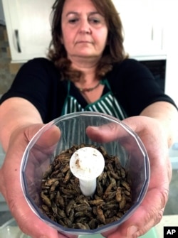 Ди Констанцо покажува сушени штурци во блендер во нејзината кујна во Лондон, јуни 2021