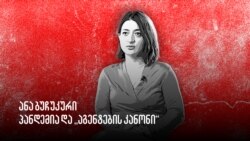 არჩევნების ისტორია: ანა ბუჩუკური