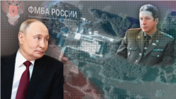 An illustration shows Russian President Vladimir Putin (left), a satellite image of Lisy Island, and Vladimir Maksimov, head of the Center of Experimental Physiology located there.