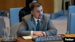 نصیر احمد فایق، سرپرست نماینده‌گی افغانستان در سازمان ملل متحد