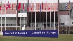 Пасе утвердила состав платформы российских демократических сил