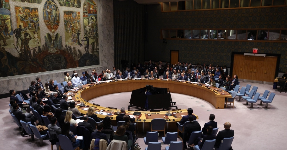 Україна в Радбезі ООН окреслила свої червоні лінії та готовність до мирних переговорів
