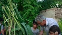 دولت مستعجل مدارس طبیعت در ایران