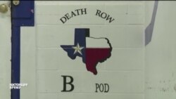 Смертельная инъекция конституционна