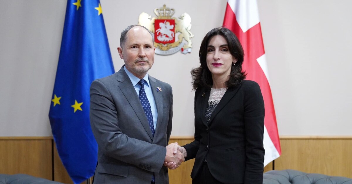 ევროინტეგრაციას საქართველოს წინააღმდეგ ინსტრუმენტად იყენებენ - ბოჭორიშვილი ჰერჩინსკიზე