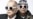 Вечные мальчики. Артемий Троицкий – о группе Pet Shop Boys