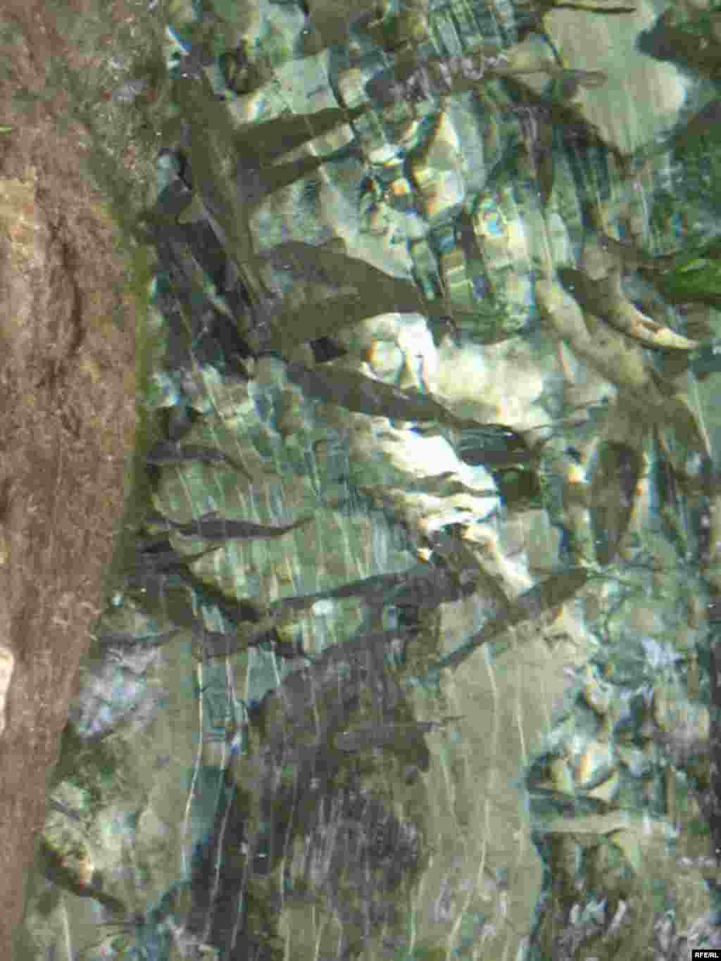 Зиёрати Чилучорчашма #29