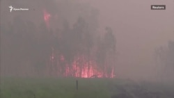 Дымом заволокло небо над десятками городов: масштабные лесные пожары в Якутии (видео)