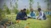 ځوانان د خوست ورزې پارک کې ناست دي - انځور مې ۱۶، کال ۲۰۲۵م