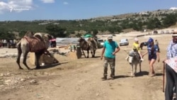 Верблюды и плюшевые «ждуны»: Ай-Петри после сноса построек (видео)