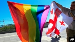 The attacks underscore the LGBT community's long-standing struggle in Georgia.