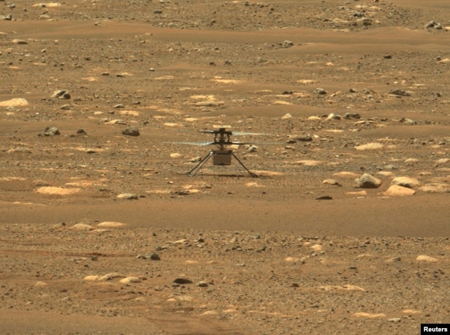 نبوغ بر سطح مریخ