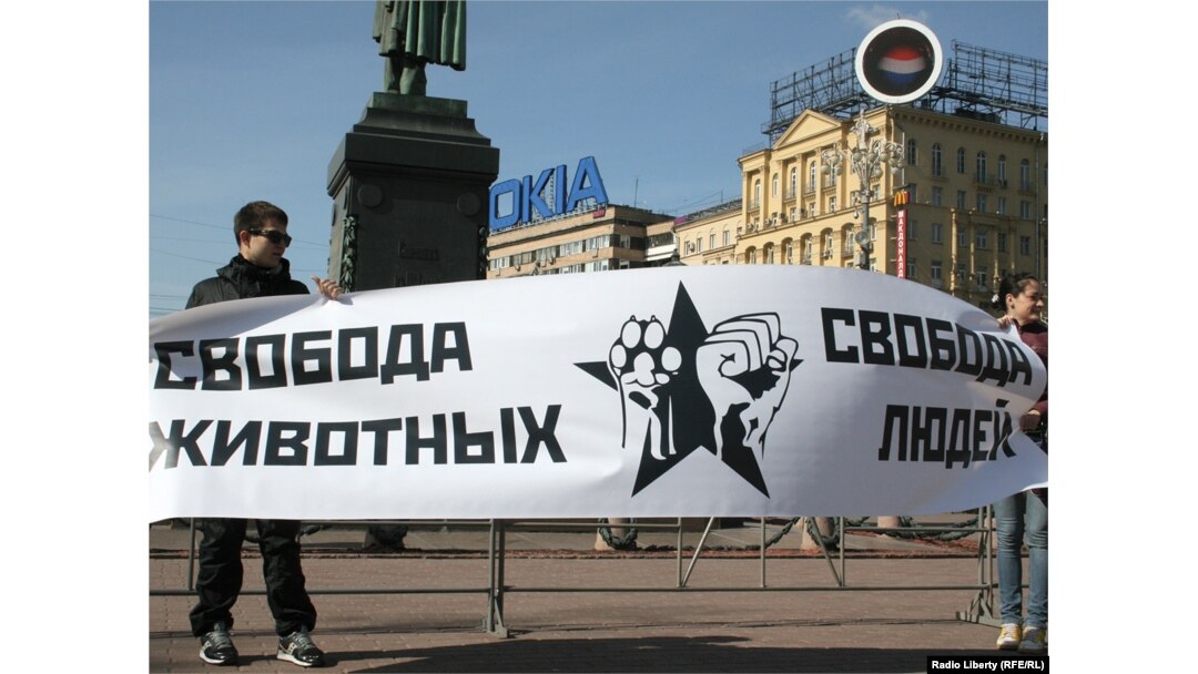 "Россия без жестокости"