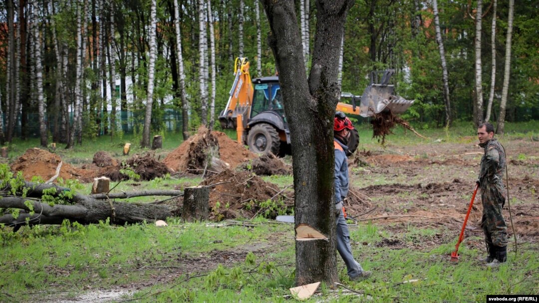 Иллюстратив сурат.