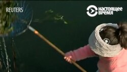 Хто прымушае індыйскую дзяўчынку ратаваць сьвет