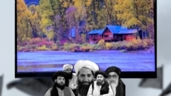 ممنوعیت بر نشر تصویر اشیای زنده "جفا در حق شریعت است"
