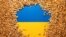 FILE PHOTO: llustration shows Ukrainian flag and grain