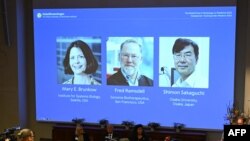 Meri Brunkou, Fred Remsdell və Şimon Sakaquçi