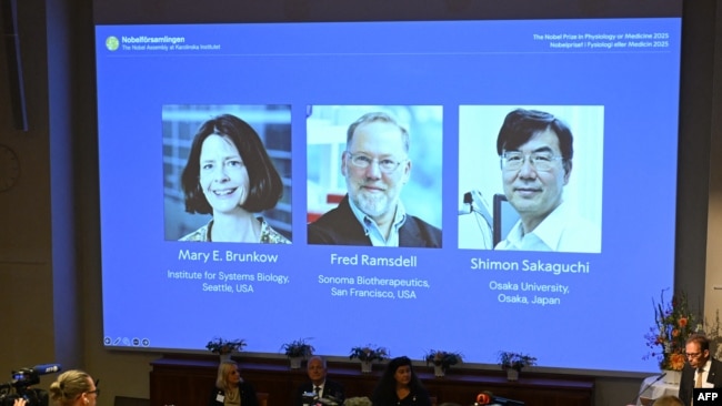 Meri Brunkou, Fred Remsdell və Şimon Sakaquçi