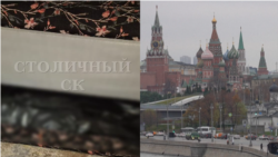 Жестокое убийство кыргызстанки в Москве: тело спрятали в диване