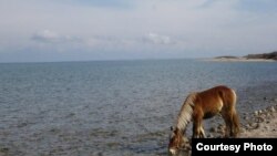 Польшалык турист Кристиан Фреддин Кыргызстандан тарткан сүрөтү.