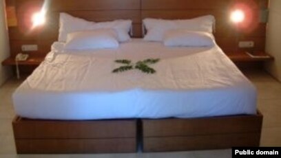 Yosh jojalarning katta kokraklari fotosurati